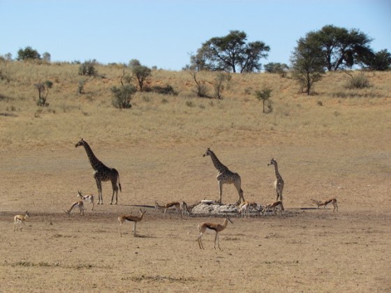 1-138 IMG_1160 Waterhole