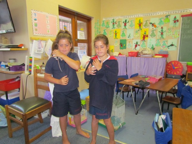 002 Twin rats for twin sisters