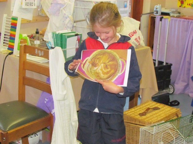 003 My cat sleeps in this basket