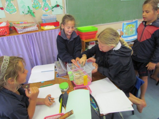 014 Getting ready to write about Ramster