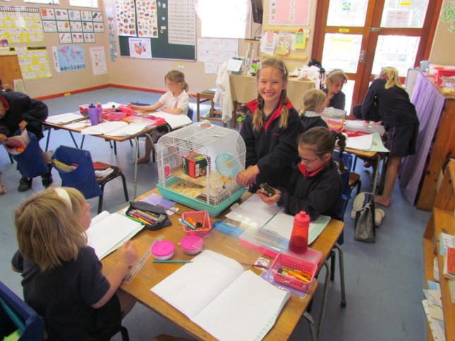 017 Joanna's Hamster