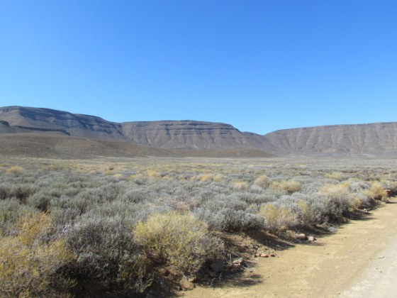 Fifty Shades of Khaki