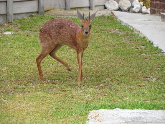 I've had enough now - the grub was good though