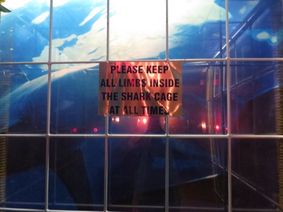 The Lift is made to look like a shark cage