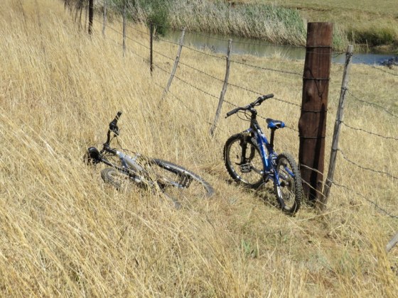 No fear of bikes being stolen