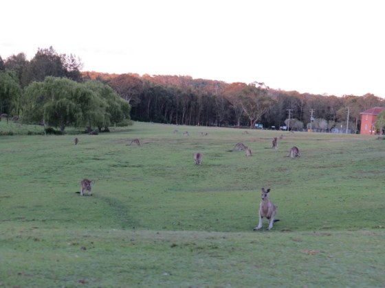 There were hundreds of them