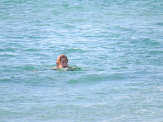 But hey, I swan at Bondi Beach!