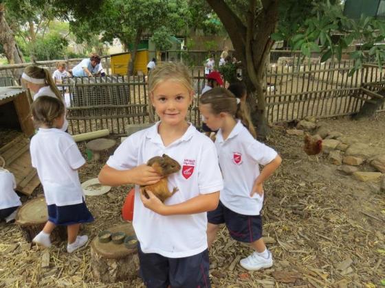 Love is holding a pet