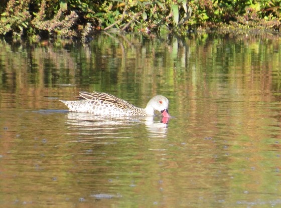 The colours reflected beautifully