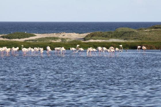 Strandfontein Beach next to Baden Powell Road in the background