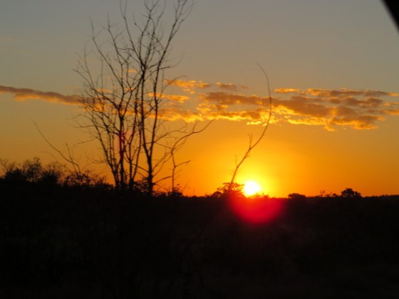 Sunset was stunning this evening