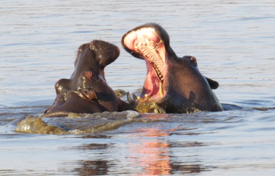 What a lovely smile you have