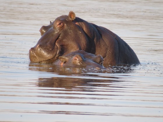 Such a loving couple