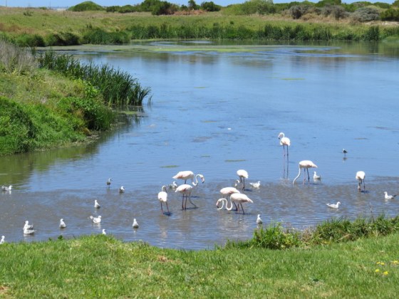 Some preferred a calmer location