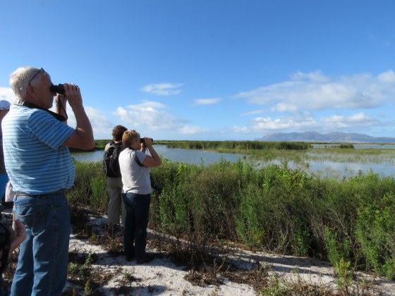 Checking out one of the ponds with binoculars