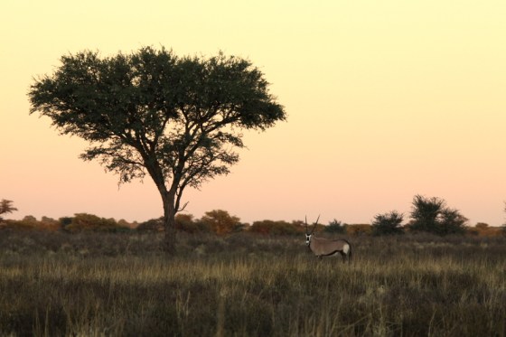 001 Good Morning KTP 2015-03-26 06-45-26 AM 4752x3168