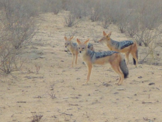 They are up to something