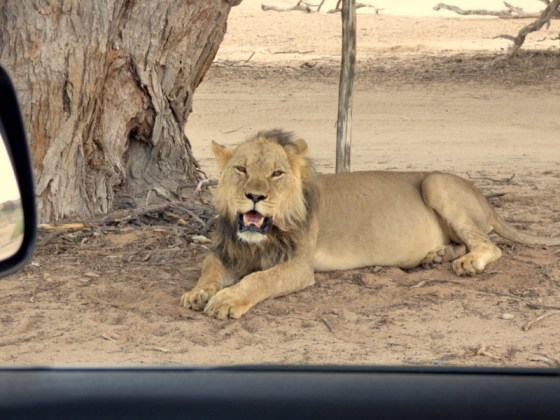 No peace from the tourists
