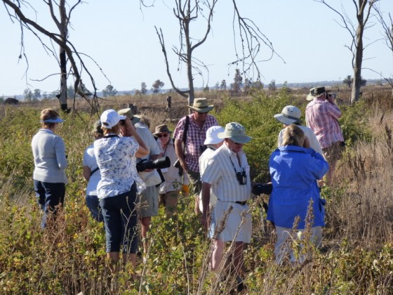 campers finding birds