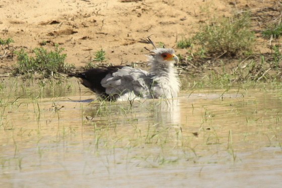 Refreshingly cool on a hot day