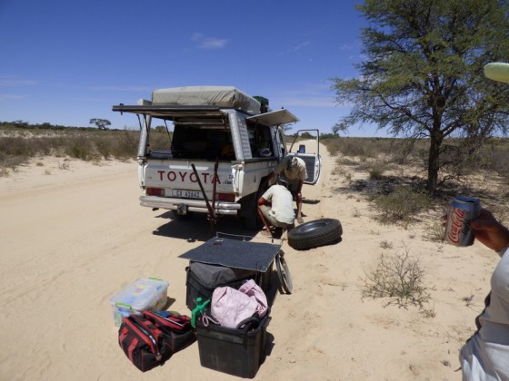 No fun getting a puncture in the middle of a game reserve