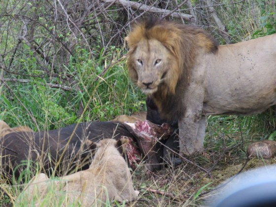 And looked straight at us