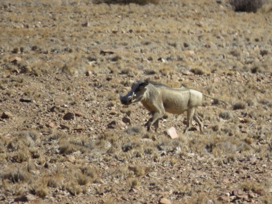 The waterhole is right in front of our chalet
