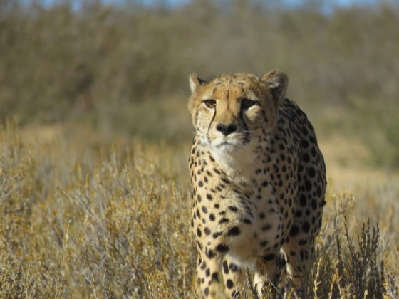 He is centimeters from my eyeballs