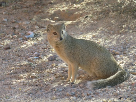 A visitor looking for titbits
