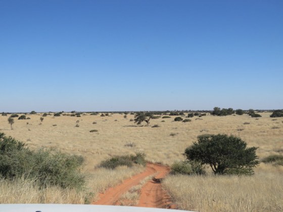 The track to Gharagab