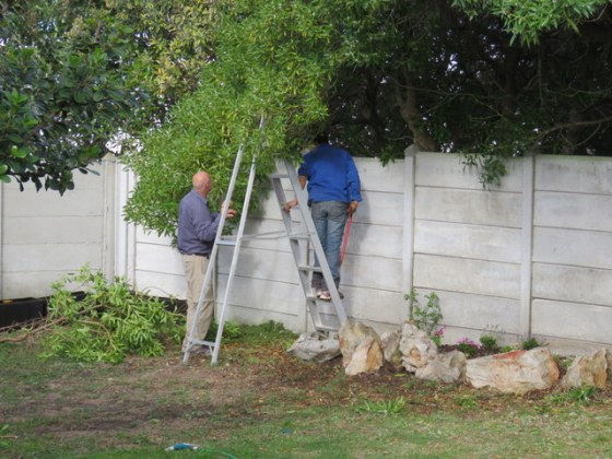 Sawing the branches was quite a chore