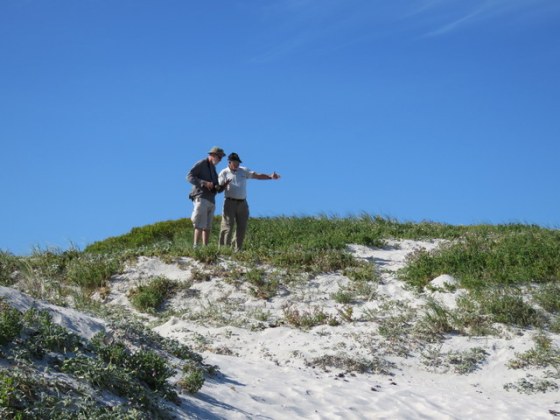 On the dune above the beach