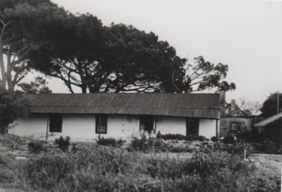 A very early photograph of Quintella - before the garden was established