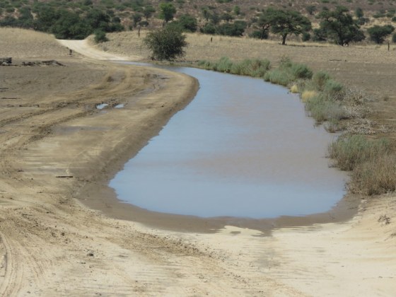 007 River in middle of road 2015-03-24 10-56-17 AM 4608x3456