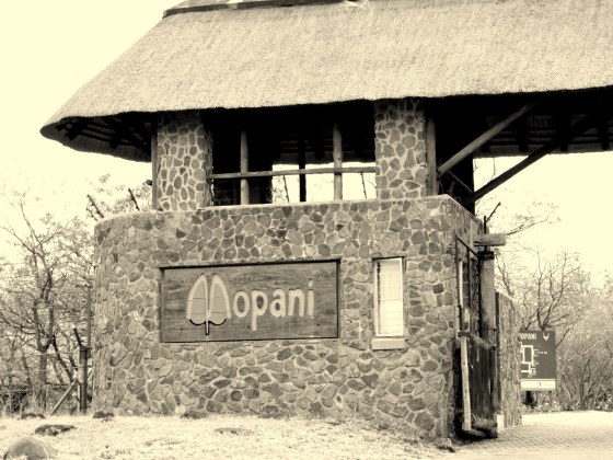 046 Mopani
