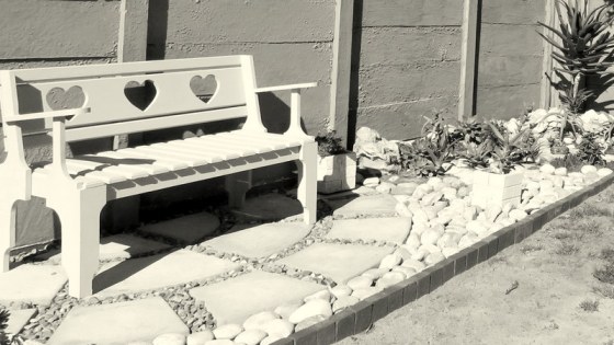 New corner of garden 2017-08-28 09-15-38 PM 4608x3456