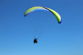 paraglider